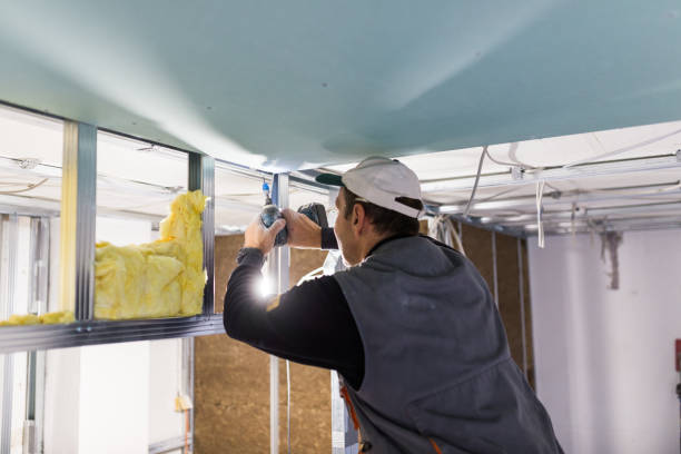 Best Insulation for Specific Applications in Davenport, FL