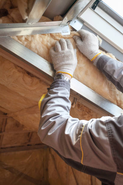 Best Commercial Insulation in Davenport, FL